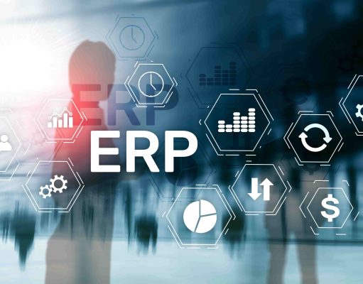 Advantages of having Erp implementation services