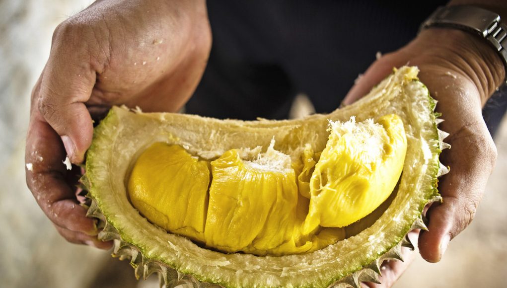 consume durian