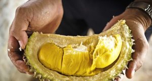consume durian